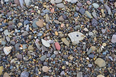 Beach natural
