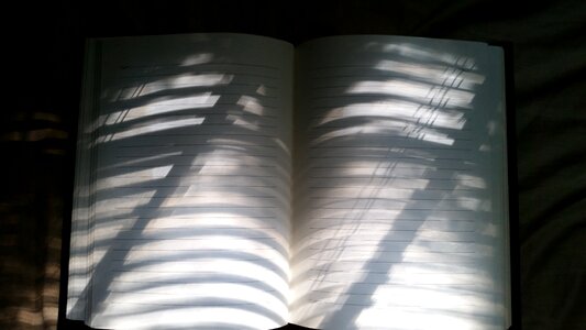 Sunlight paper background photo
