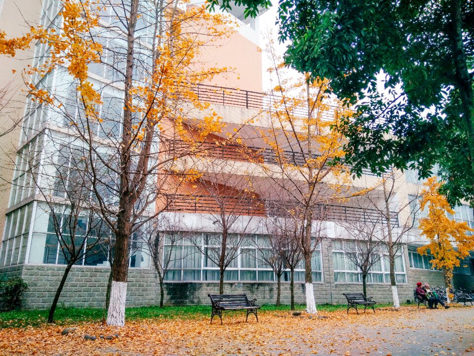 University the scenery summer