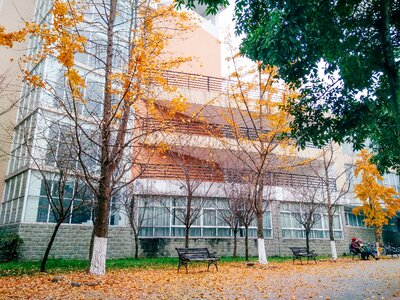 University the scenery summer