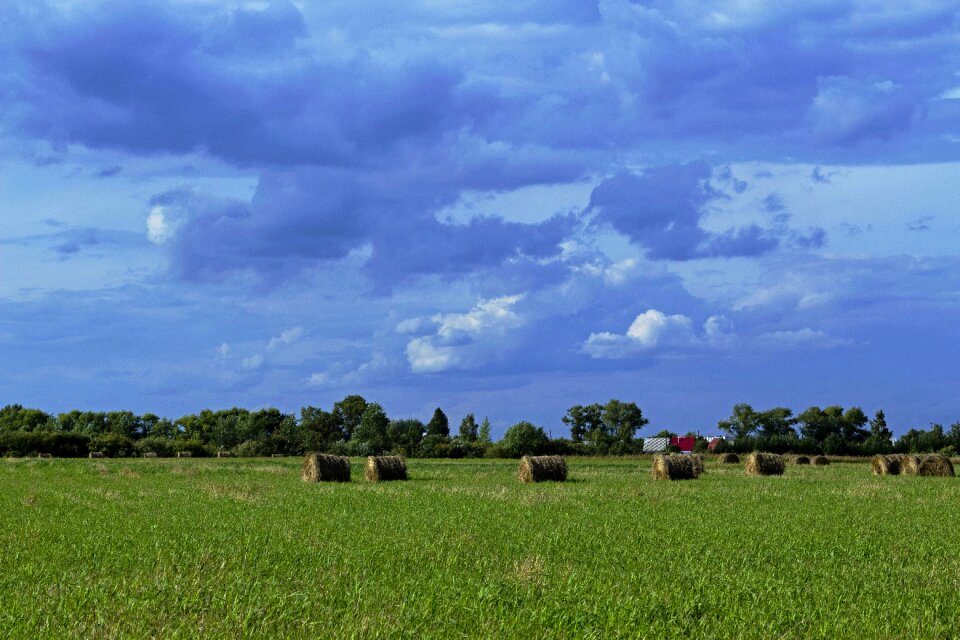 Field hay clouds