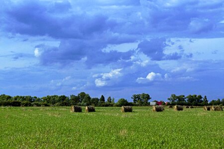 Field hay clouds photo