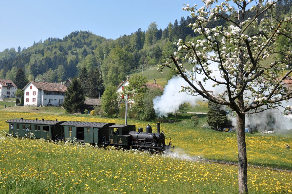 Neuthal nostalgia special crossing