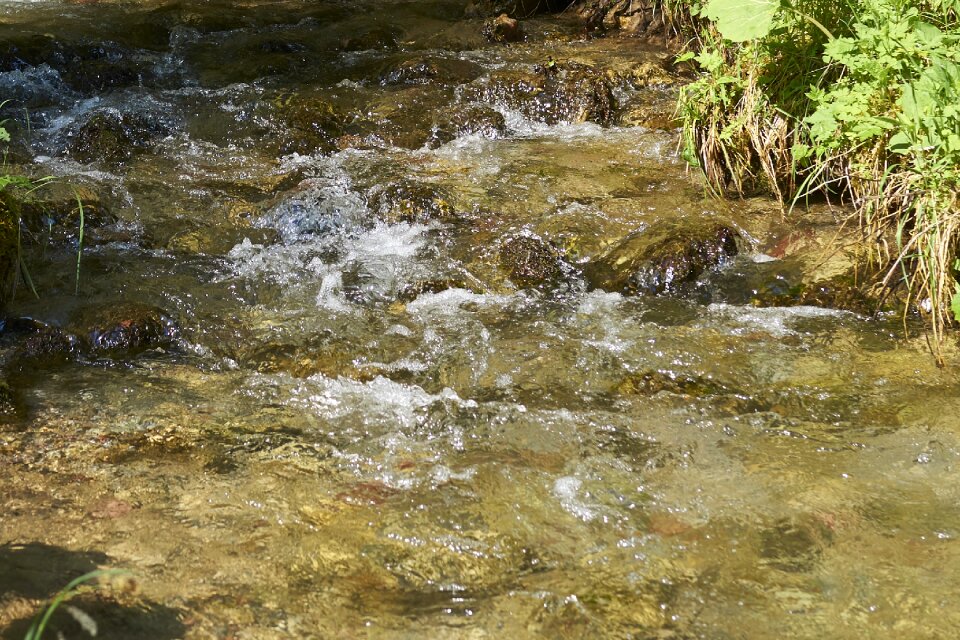 Nature slovakia torrent
