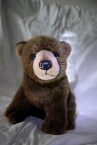 Brown bear children's toy decorative object photo