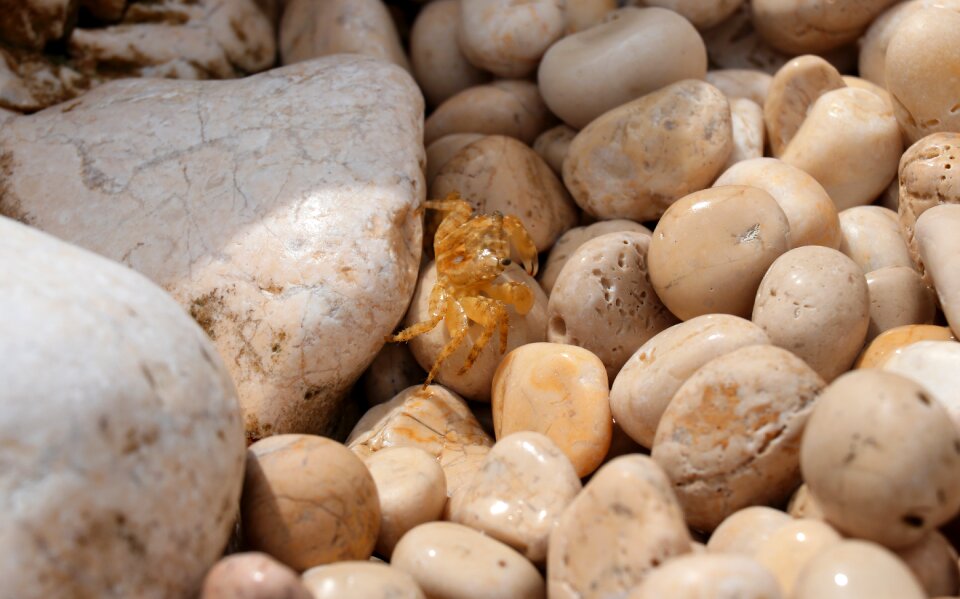 Pebble coast pebbles