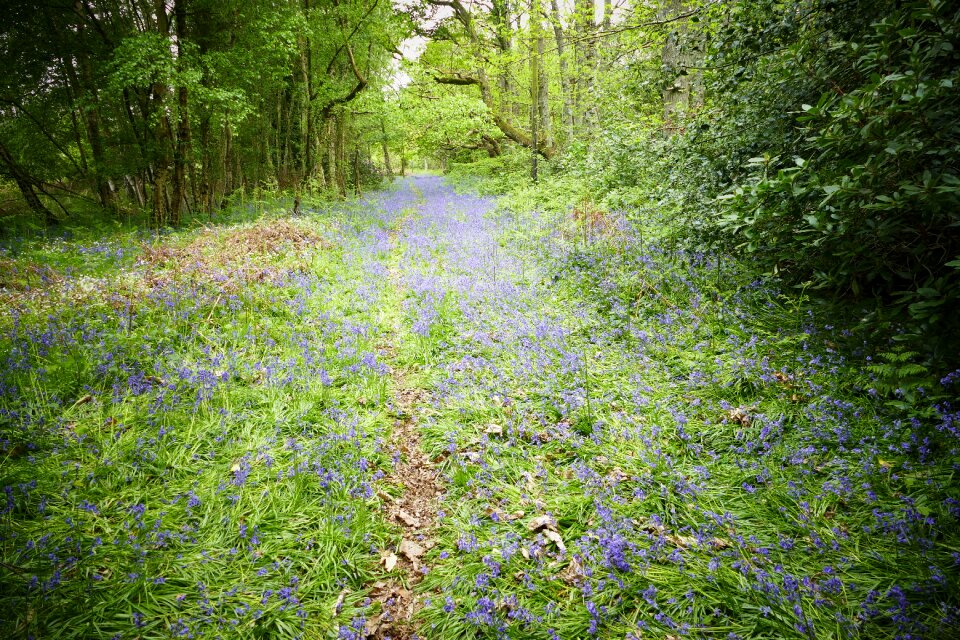 West sussex landscape nature