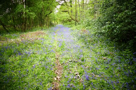 West sussex landscape nature