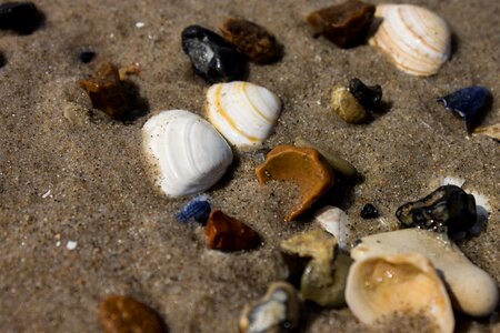Beach nature stones photo