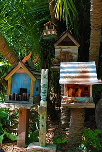 Bird house home box photo