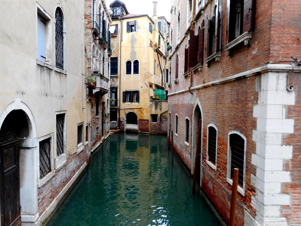 Italy venice nature