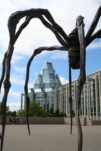 Maman spider sculpture photo