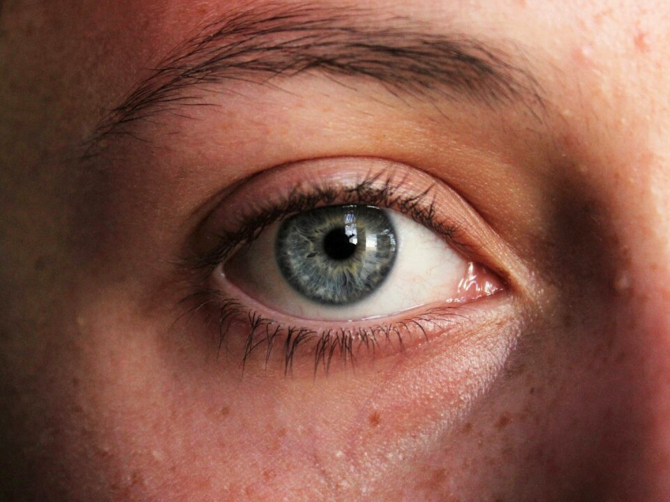 Face girl eyebrows