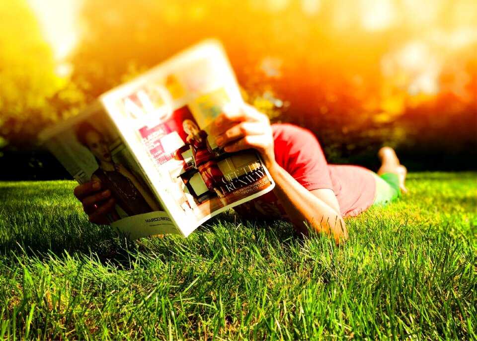Grass sunny summer