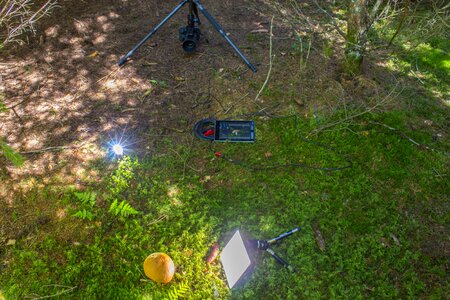 Fungal recording photographic equipment photo equipment