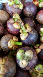 Fresh collection food