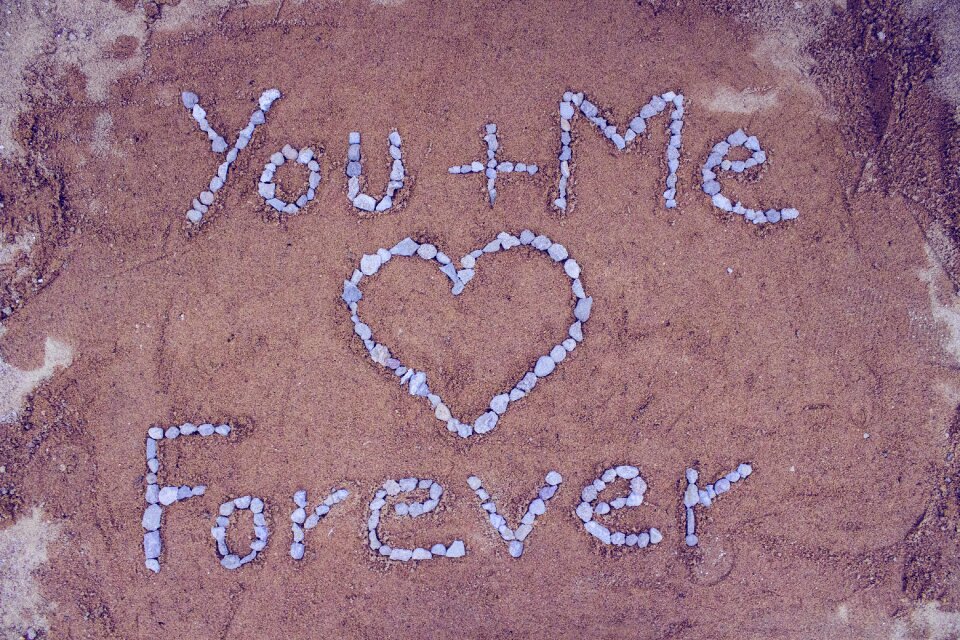 Love birds lovers forever