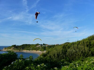 Cote basque erromardie chibau berria