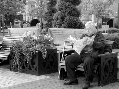 Park bench gray reading photo