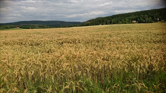 Swedish countryside sweden swedish