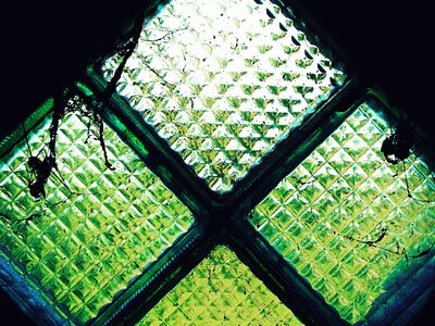 Rhombus spider web green