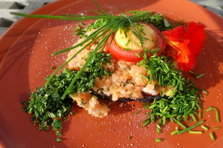 Yolk tatar raw egg yolk