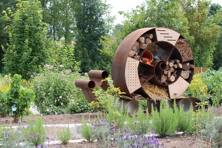 Hotel for insects biodiversity bees