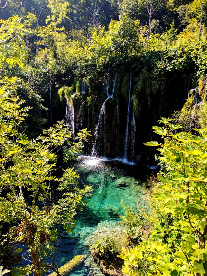 Waterfall national park nature