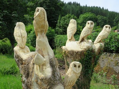 Owl carving wisdom photo