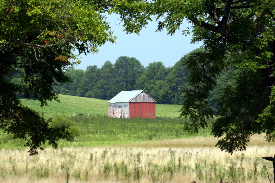 Rural outdoor scenic