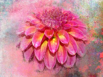 Background pink art pink painting photo