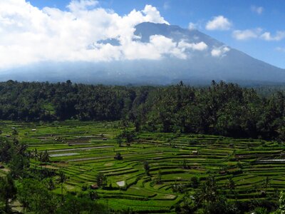 Bali volcano rice fields