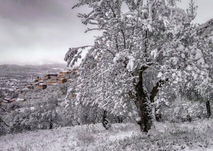 Castrocielo cold mountain photo