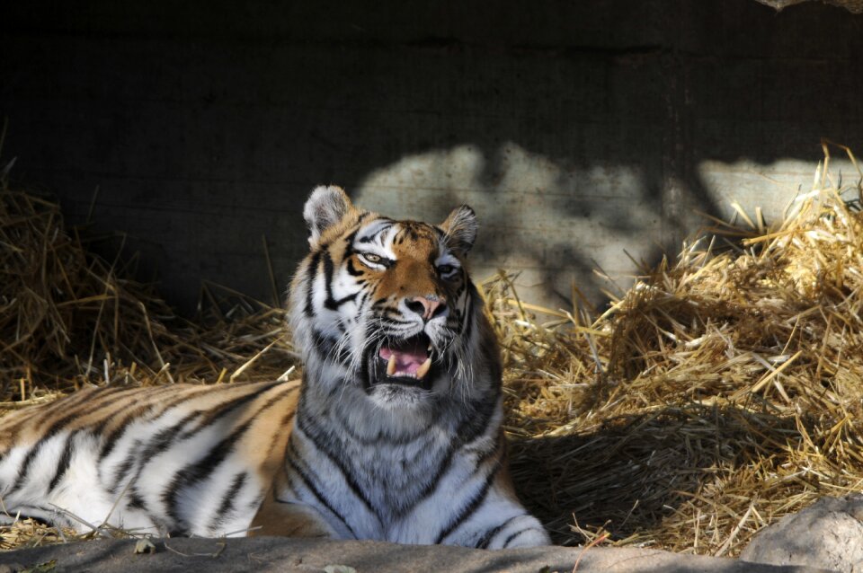 Zoo hellabrunn munich