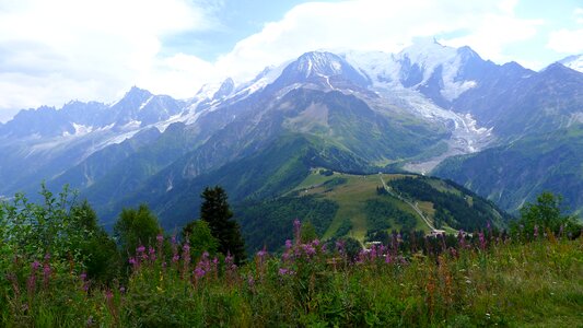 Landscape nature summer