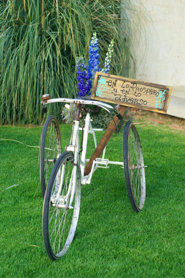 Classic garden bicycle