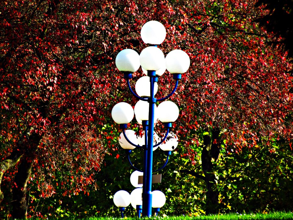 Foliage landscapes street lamp