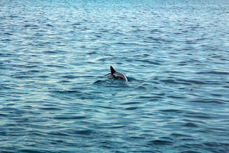 Bay water blue photo