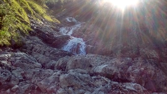 Mountain nature forest nature