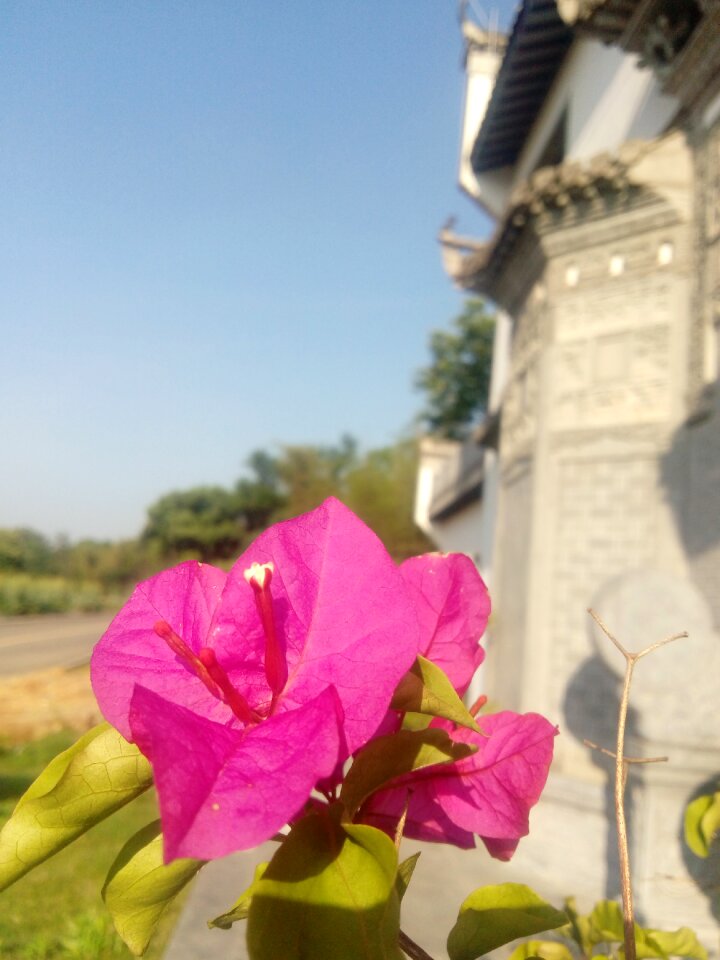 Wuyuan ink on the river exhibition center division billion