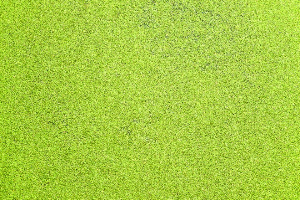River background texture