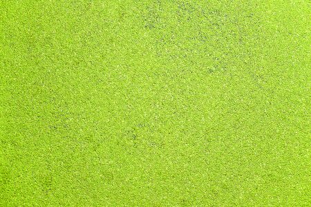 River background texture
