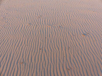 Charente spanish beach spanish