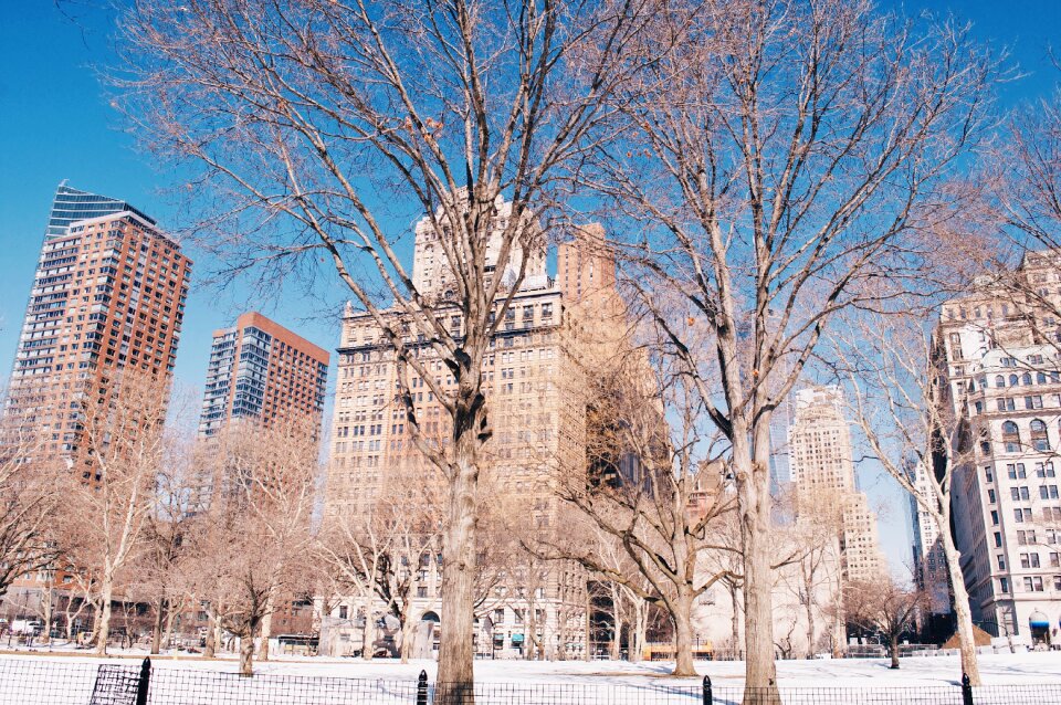 New york snow