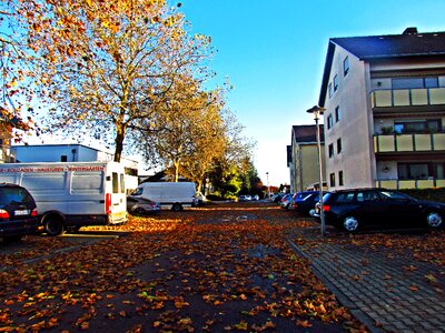Autumn gold mood city