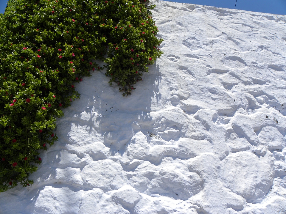 Sea white wall lime whitewash
