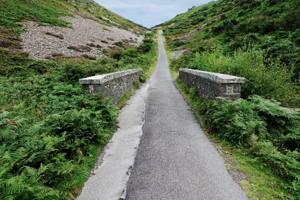 Track way perspective