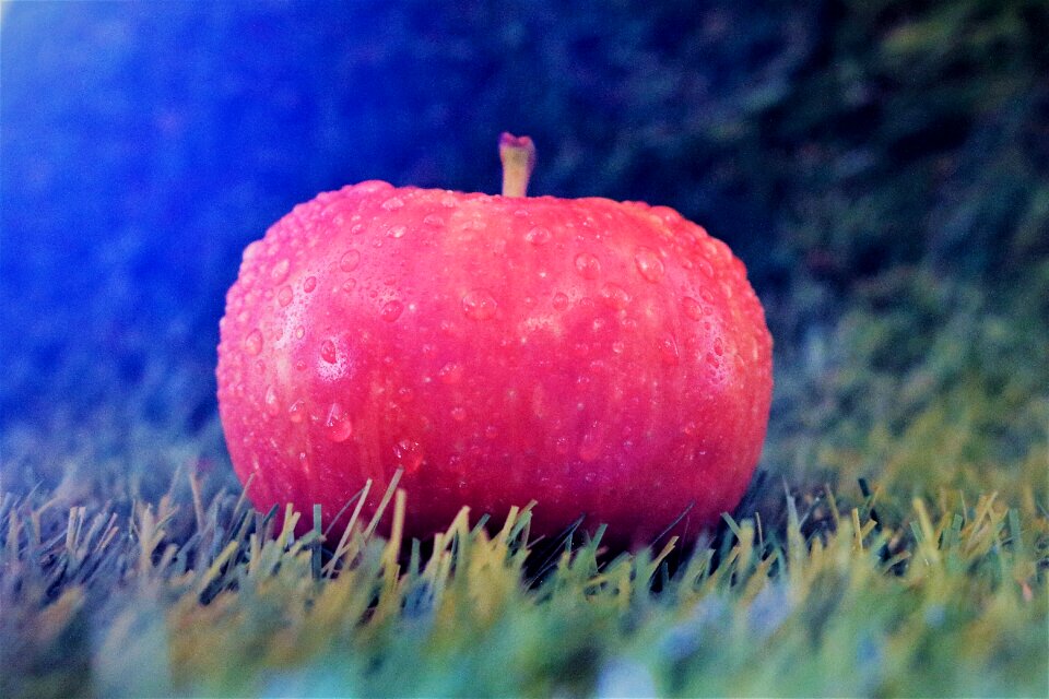 Apple meadow filter