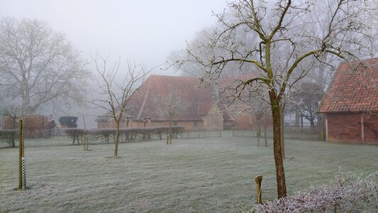 Dutch landscape morning countryside