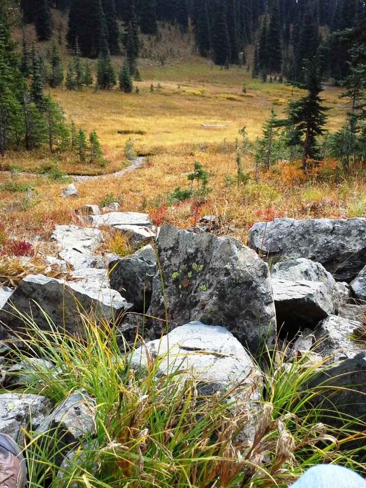 Cascade mountains washington